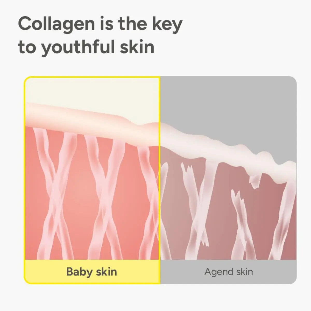 [Sungboon] Silk Collagen & Peptide Face-Lift Duo Tiktok Exclusive – Ampoule + Serum with 8 types Hyaluronic Acid for wrinkles & fine lines | Gift set Firming, Moisturizing, Collagen Boosting, Anti aging Korean Home for all skin types Daily Restore