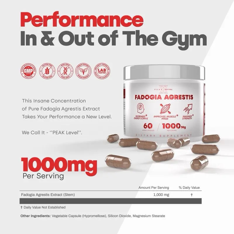 Muscle Stack – Testosterone Booster for Men – 2000mg Turkesterone, Tongkat Ali & Fadogia Agrestis – Strength, Stamina, Energy, Muscle Growth & Recovery Support – Men's T Booster Pills, Lab Tested, 120 Capsules