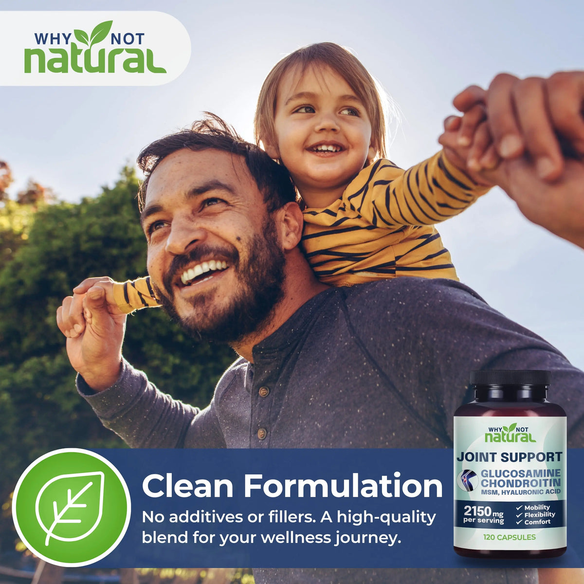Why Not Natural Glucosamine Chondroitin MSM, Joint Support Supplement