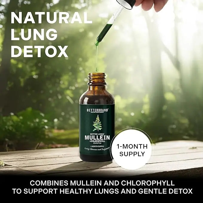 Betterbrand Mullein Leaf & Chlorophyll Drops for Lung Detox & Mucus Cleanse - 30 Servings - Clinically Studied Natural Liquid Herbal Supplement for Respiratory Wellness