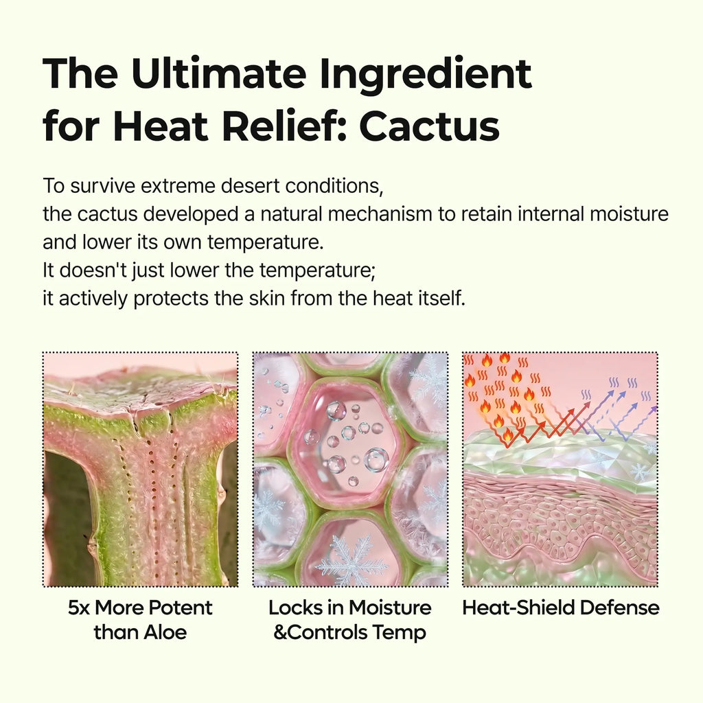 CACTOX PORE RELIEF MULTI BALM with Cactus Cooling Reduce Puffiness & Pore Tightening for Visible Pore Care Skin Repair