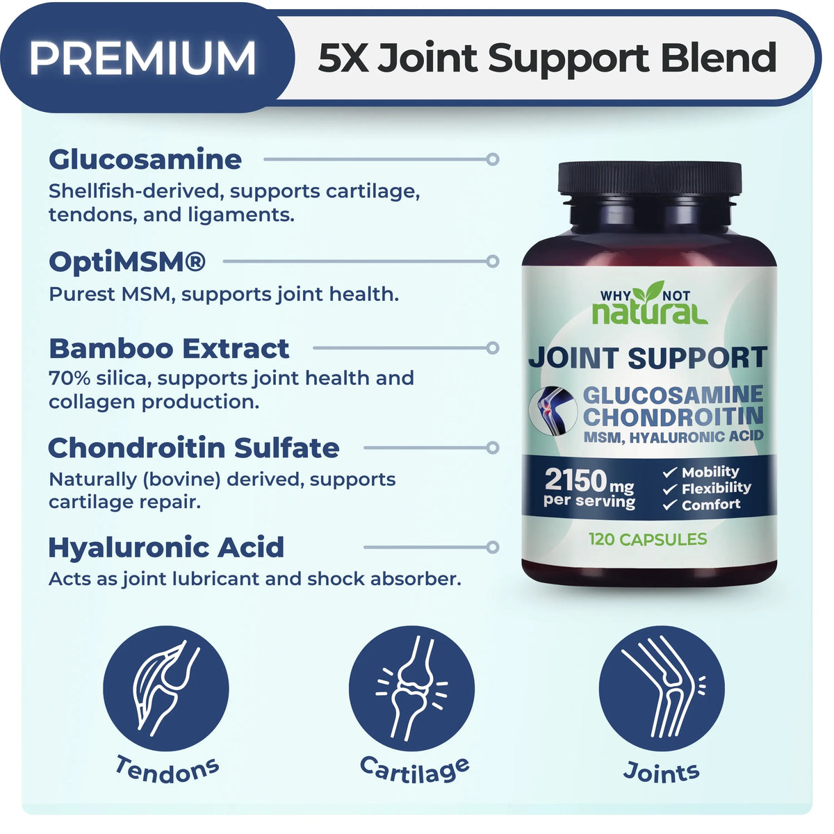 Why Not Natural Glucosamine Chondroitin MSM, Joint Support Supplement