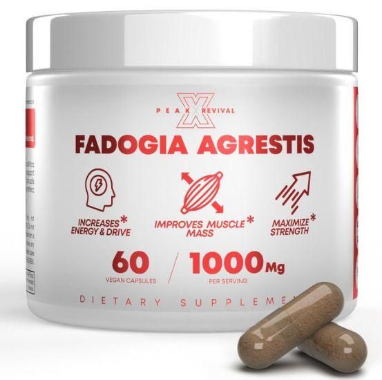 Muscle Stack – Testosterone Booster for Men – 2000mg Turkesterone, Tongkat Ali & Fadogia Agrestis – Strength, Stamina, Energy, Muscle Growth & Recovery Support – Men's T Booster Pills, Lab Tested, 120 Capsules