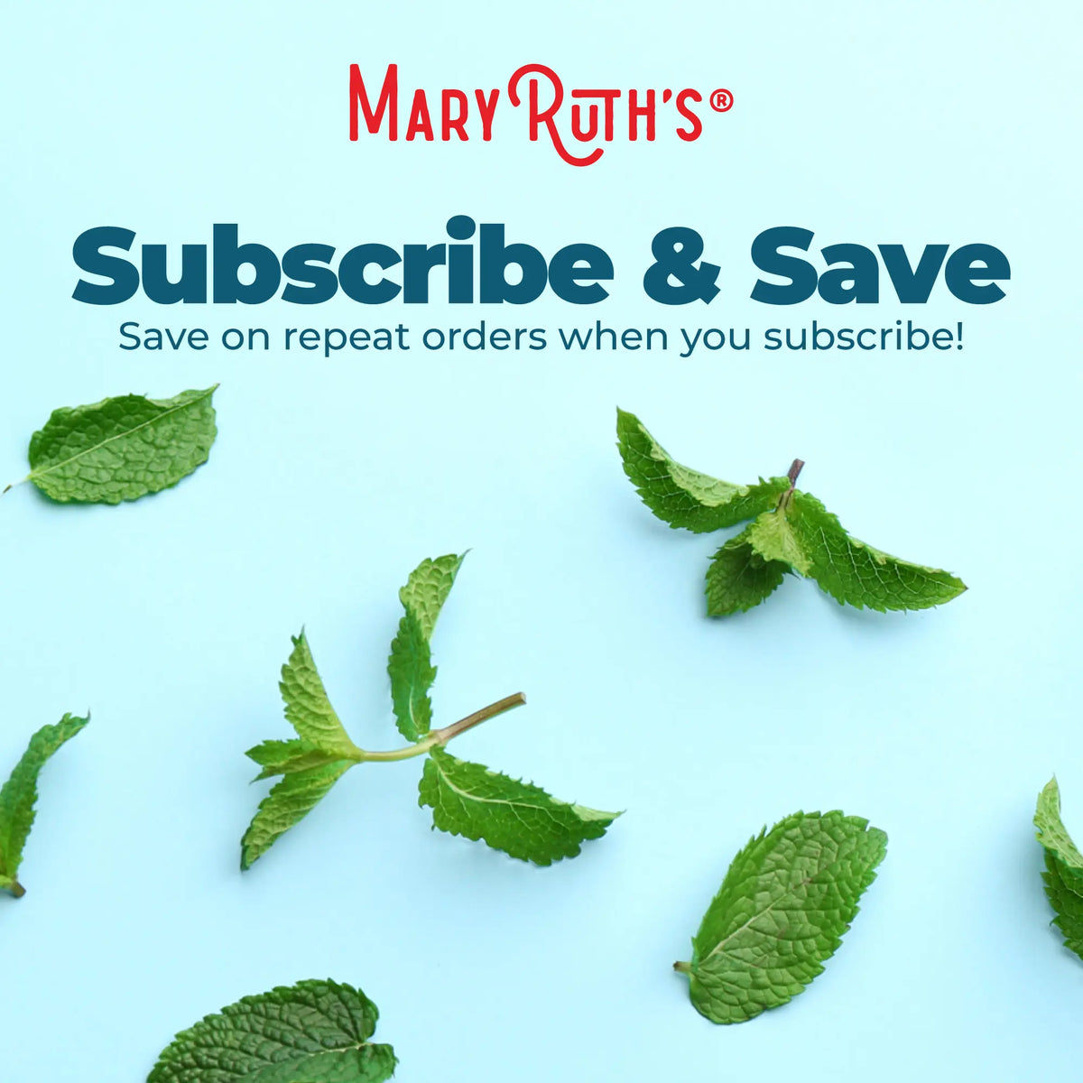 MaryRuth's Vegan Chlorophyll Liquid Drops - Non-Diluted Liquid Chlorophyll - Mulberry Derived Supplement - Non-GMO - Delicious Minty Flavor - 2 Fl Oz