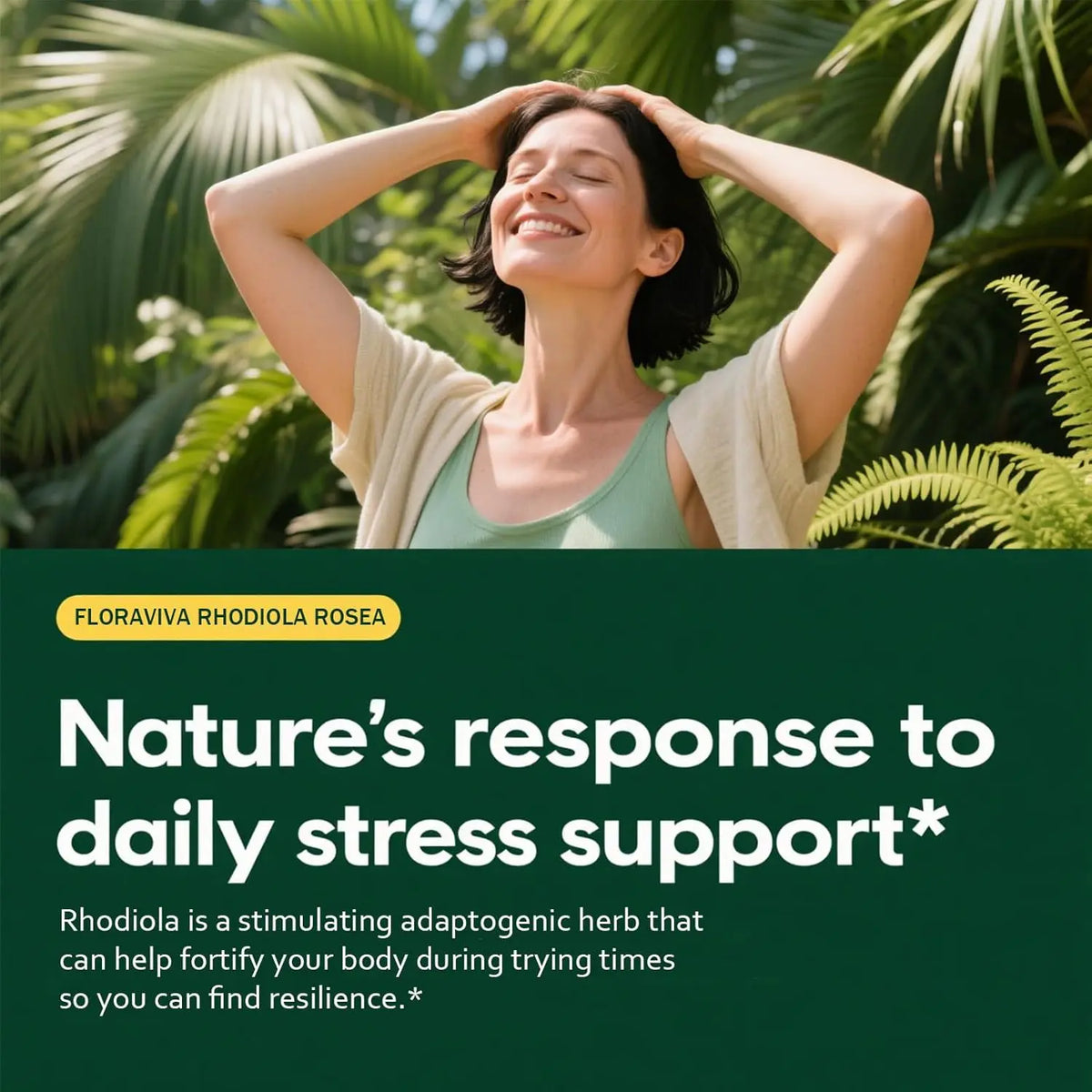 Natural Rhodiola Rosea Wellness Capsules 500mg - Natural Adaptogen Supplement for Stress Support, Mental Focus & Energy - Non-GMO (60 Capsules) Dietary Supplement, More Natural ingredient