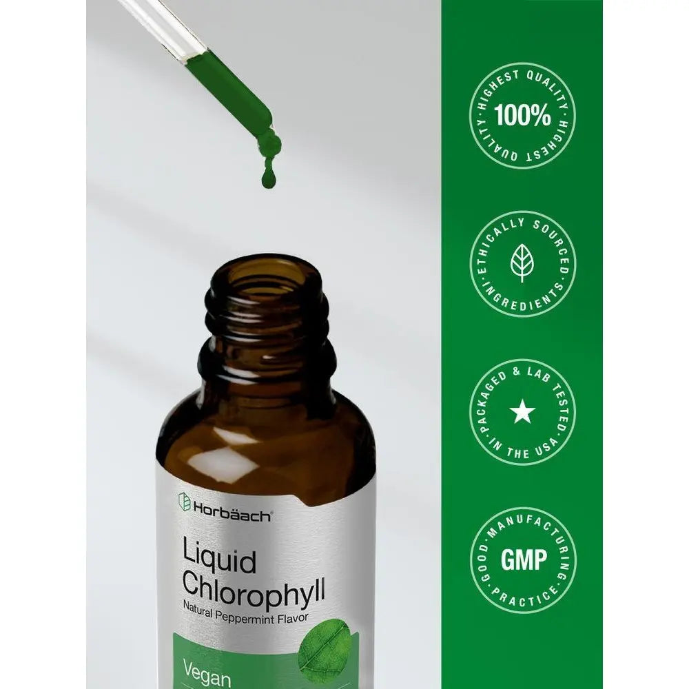 Horbäach Liquid Chlorophyll Drops - 2 oz - Vegan, Non-GMO, and Gluten Free Formula - Natural Peppermint Flavor