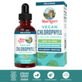 MaryRuth's Vegan Chlorophyll Liquid Drops - Non-Diluted Liquid Chlorophyll - Mulberry Derived Supplement - Non-GMO - Delicious Minty Flavor - 2 Fl Oz